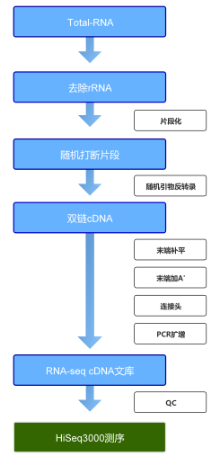 78938fa717458927eb7c2f7938076fbd_1715930789783192.png