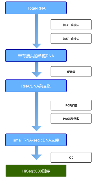 5d694b31b0d720806ad2b7f0a0585649_1715930789873830.png