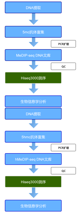 b9235014f0df7545cb524855c9917896_1715930651182501.png