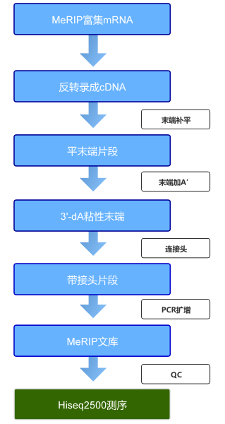 f7517cb221502c6ccb2381a9da770df5_1715930652182875.png