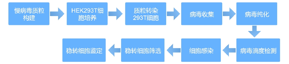 ٲϸ깹