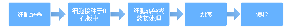 ϸǨ