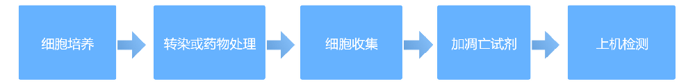 ϸ
