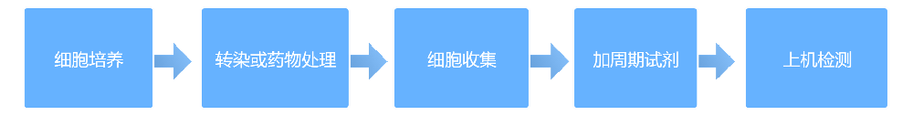 ϸڼ