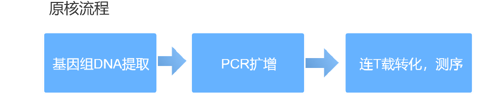 ȡ
