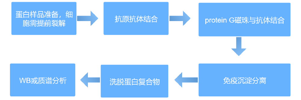 17d2b44816b989ca60c542f4555f9d4c_1716287202157576.png