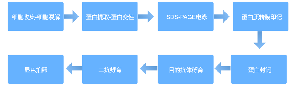 3fda8eba0f850d20e8c8c5d073eb39d9_1716287174466001.png