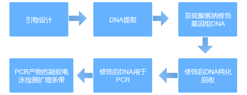489cf21e7b1ac6ab68e8bb38653f1e22_1716287049140598.png