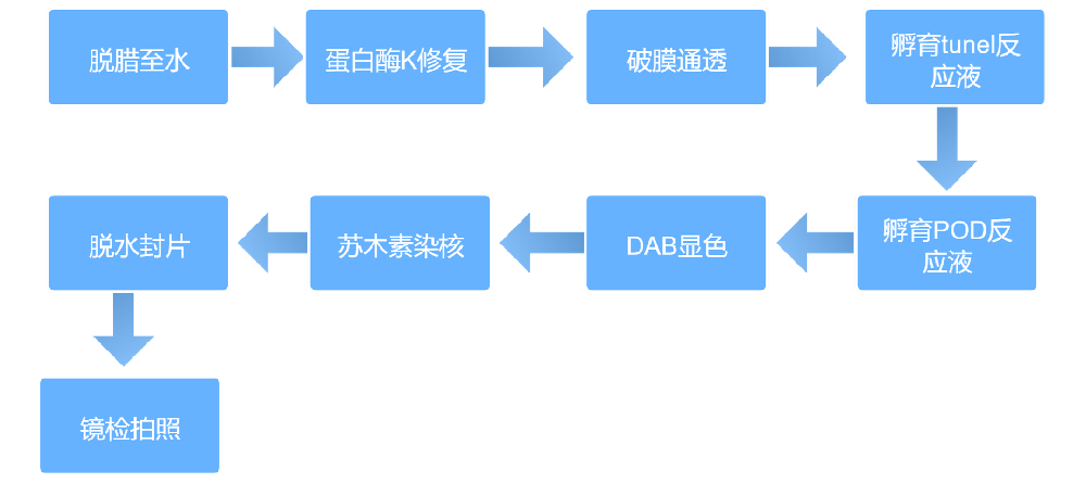 cabc2a2ae227505ccc472f7880dbd064_1716288010782330.png