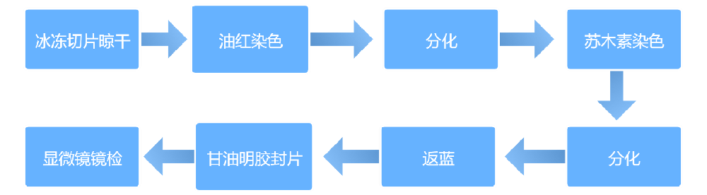 646076d88212b2fa41a7e659fb2adc33_1716287928636835.png