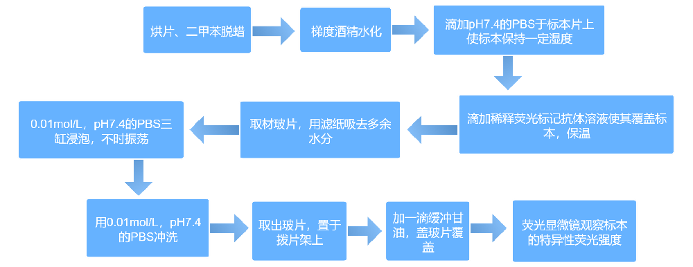 07beaea716963324b99f1b5963f22042_1716287844199413.png