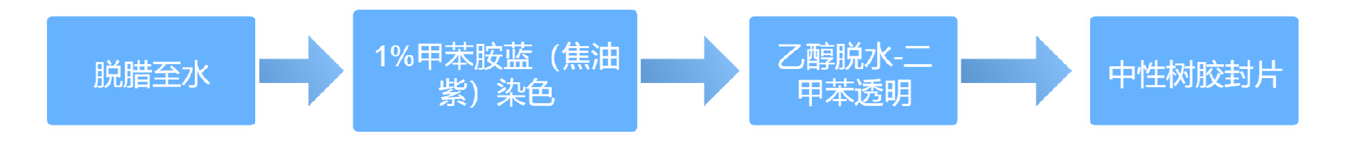 f4341b5fedcdb10aaf4fadc932a09b0d_1715927680734713.png